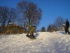 P1010415.jpg, 83 kB